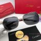 Cartier Double Bridge Titanium Sunglasses - Exact Replica (7)_th.jpg